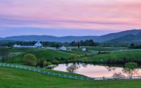 Countryside Stables
