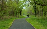 Rivanna Trail