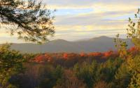 Fall in Albemarle County