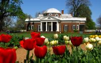 Monticello in the Spring