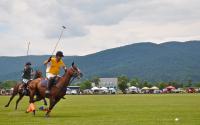 Roseland Polo