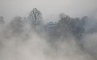 Monticello Misty