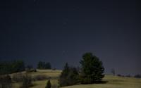 Montalto