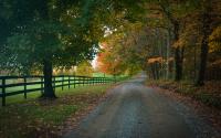 Albemarle County Road