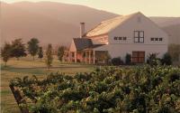 King Family Vineyard