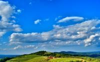 Carter Mountain Orchard