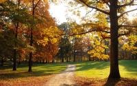 Albemarle County Fall Road