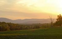 Albemarle County Golden
