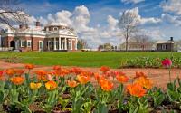 Monticello Springtime
