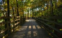 Saunders Monticello Trail