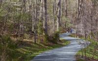 Saunders-Monticello Trail