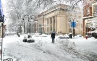 Downtown Snowfall