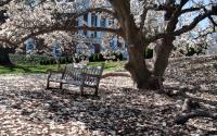 UVA Bench