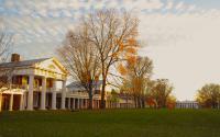 The Lawn in the Fall