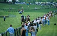 The Foxfield Races