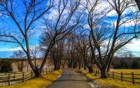 Snow Dusted Country Road
