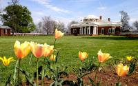 Springtime Monticello