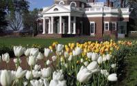 Monticello in the Spring