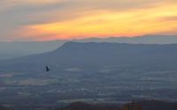 Albemarle County Scenery
