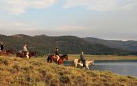 Horseback
