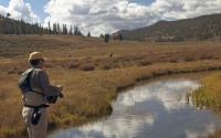 Panguitch Fly Fishing