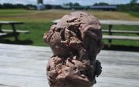 Broom's Bloom Dairy Ice Cream Cone