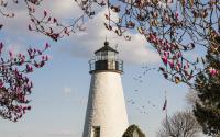 Lighthouse Springtime