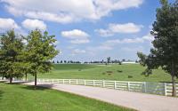 Scenic roadside in Lexington, KY