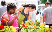 Lexington Farmers' Market