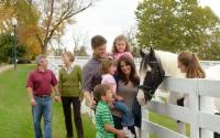 Visit the Kentucky Horse Park