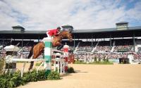 Equine athlete competing in the Rolex Stadium at the Kentucky Horse Park