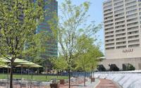 Triangle Park in the Spring