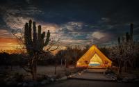 Camping & Glamping