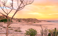 Desert-gallery