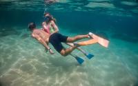 snorkeling man