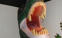 GCSU Museum of Natural History