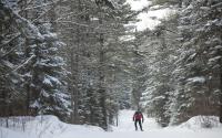 cross country skiing