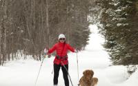 skiing