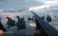 OBX Daydream | Duck Hunting in Buxton
