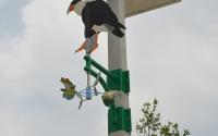 Photo of public artwork, Caracara wind vane