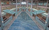 Photo of public artwork, Forces of Nature Terrazzo Floor