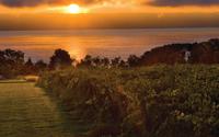Vineyard Lake Sunset