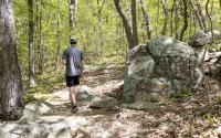 Cane Creek Pine Hill Trail