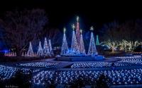 Christmas tree village of lights at Illuminations Botanica Wichita in Wichita KS