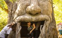 Children play inside the treehouse in the Children's Garden at Botanica Wichita