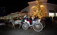 Holiday Carriage Ride in Wichita