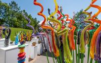Blown Glass at The Woodlands Waterway Arts Festival