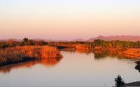 East Wetlands at the Colorado River in Yuma, Arizona