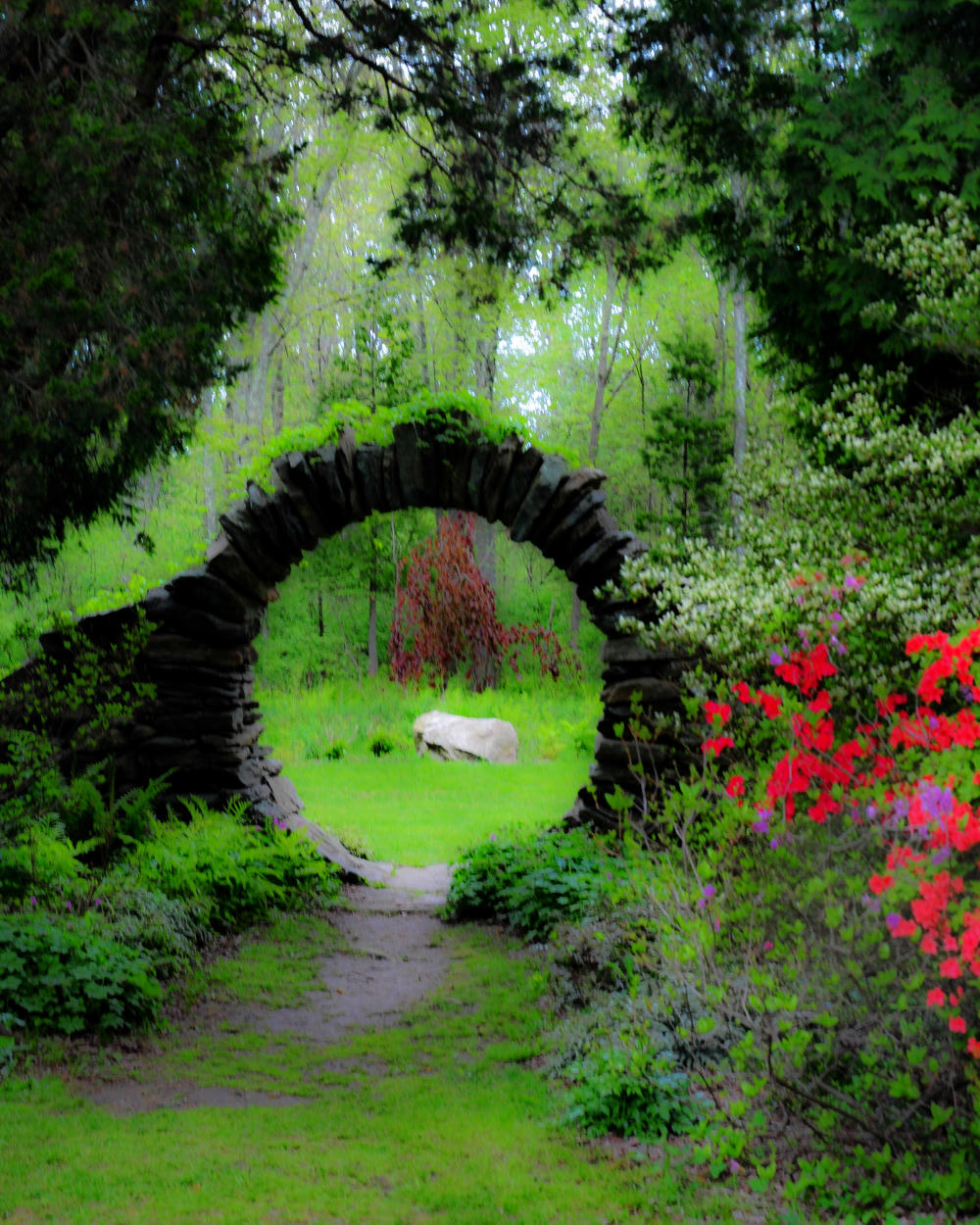 Kinney Azalea Garden