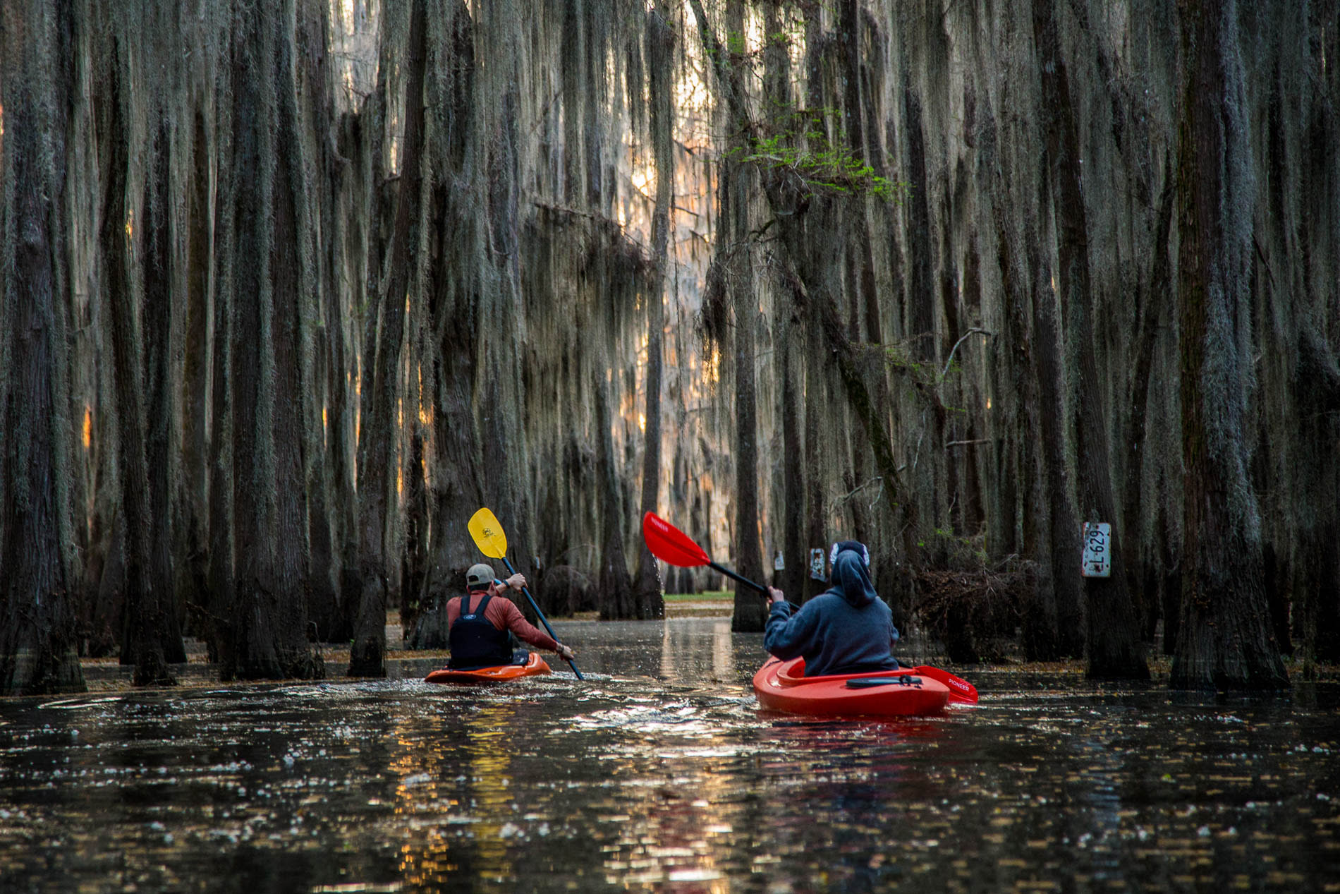 Kayakers